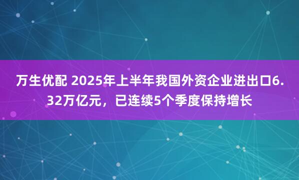 万生优配 2025年上半年我国外资企业进出口6.32万亿元，已连续5个季度保持增长