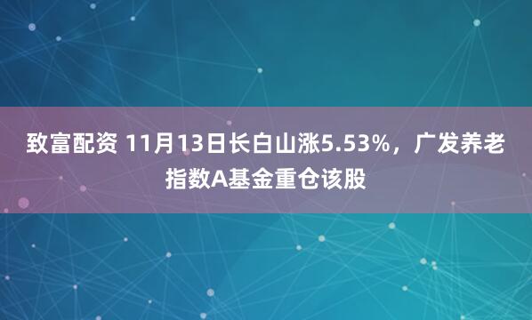 致富配资 11月13日长白山涨5.53%，广发养老指数A基金重仓该股